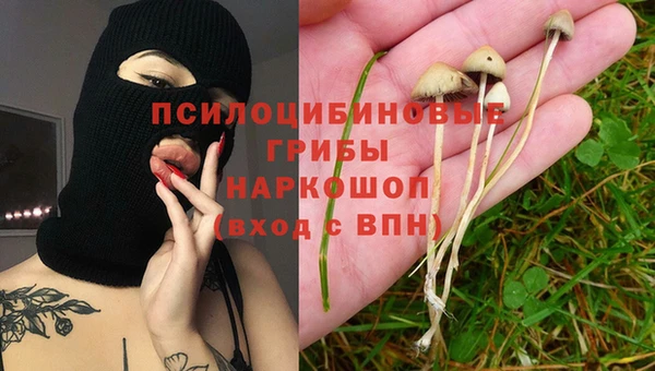 хмурый Бородино