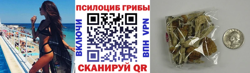 Псилоцибиновые грибы прущие грибы  где купить   Пестово 